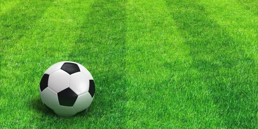 联赛跟踪专项分析